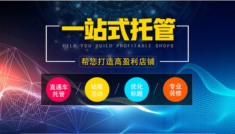 站群程序：电商运营的新工具箱